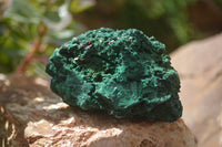 Natural Silky Malachite Specimens x 6 From Kasompe, Congo