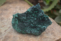 Natural Silky Malachite Specimens x 6 From Kasompe, Congo