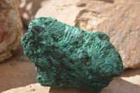 Natural Silky Malachite Specimens x 6 From Kasompe, Congo