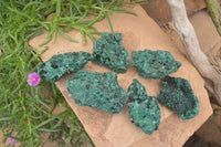 Natural Silky Malachite Specimens x 6 From Kasompe, Congo