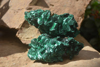 Natural Silky Malachite Specimens x 6 From Kasompe, Congo