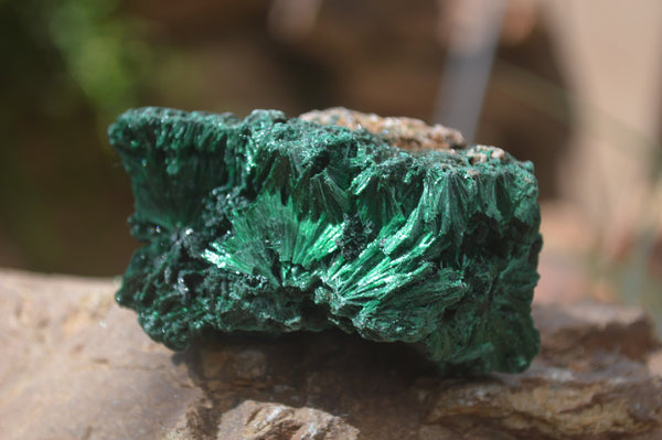 Natural Silky Malachite Specimens x 6 From Kasompe, Congo