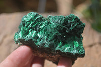 Natural Silky Malachite Specimens x 6 From Kasompe, Congo