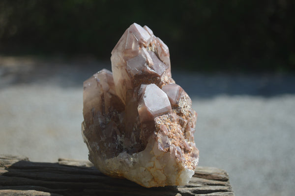 Natural Red Hematoid Quartz Clusters x 2 From Karoi, Zimbabwe