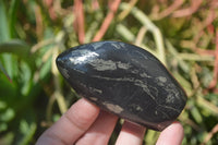 Polished Rare Pharaoh Stone Pyrite in Basalt Standing Free Forms x 6 Iron Duke Mine, Zimbabwe