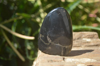 Polished Rare Pharaoh Stone Pyrite in Basalt Standing Free Forms x 6 Iron Duke Mine, Zimbabwe