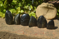 Polished Rare Pharaoh Stone Pyrite in Basalt Standing Free Forms x 6 Iron Duke Mine, Zimbabwe