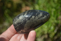 Polished Rare Pharaoh Stone Pyrite in Basalt Standing Free Forms x 6 Iron Duke Mine, Zimbabwe