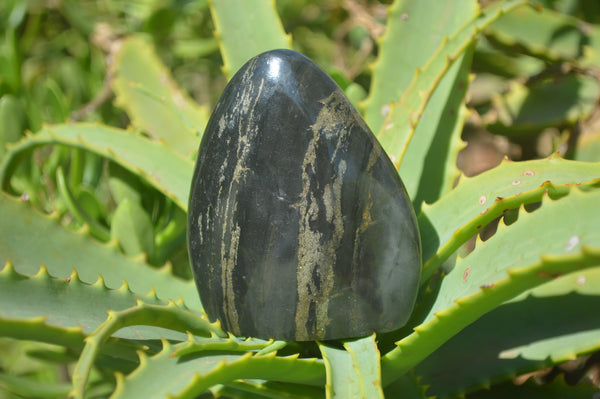 Polished Rare Pharaoh Stone Pyrite in Basalt Standing Free Forms x 6 Iron Duke Mine, Zimbabwe