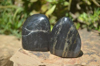 Polished Rare Pharaoh Stone Pyrite in Basalt Standing Free Forms x 6 Iron Duke Mine, Zimbabwe