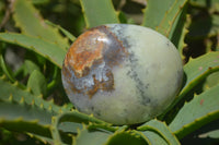 Polished Dendritic Agate Galet-Palm Stones x 12 From Madagascar