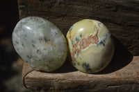 Polished Dendritic Agate Galet-Palm Stones x 12 From Madagascar