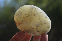 Polished Dendritic Agate Galet-Palm Stones x 12 From Madagascar