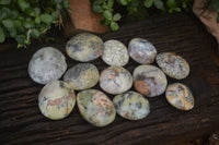 Polished Dendritic Agate Galet-Palm Stones x 12 From Madagascar