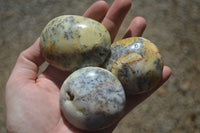 Polished Dendritic Agate Galet-Palm Stones x 12 From Madagascar