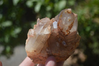 Natural Red Hematoid Quartz Clusters x 6 From Karoi, Zimbabwe