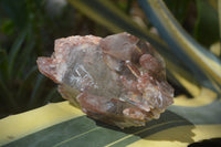 Natural Red Hematoid Quartz Clusters x 6 From Karoi, Zimbabwe