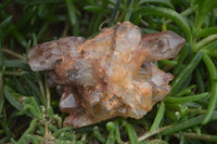 Natural Red Hematoid Quartz Clusters x 6 From Karoi, Zimbabwe