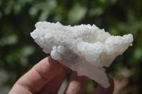 Natural Drusy Quartz Coated Calcite Pseudomorph Specimens x 6 From Alberts Mountain, Lesotho