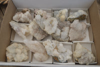 Natural Drusy Quartz Coated Calcite Pseudomorph Specimens x 6 From Alberts Mountain, Lesotho