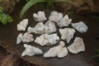 Natural Drusy Quartz Coated Calcite Pseudomorph Specimens x 6 From Alberts Mountain, Lesotho