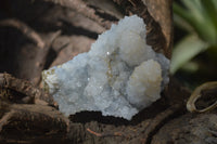 Natural Drusy Quartz Coated Calcite Pseudomorph Specimens x 6 From Alberts Mountain, Lesotho