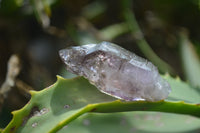 Natural Smokey Amethyst Crystals x 23 From Chiredzi, Zimbabwe