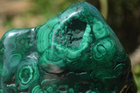 Polished Flower Banded Malachite Free Forms x 3 From Congo