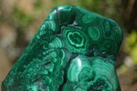 Polished Flower Banded Malachite Free Forms x 3 From Congo