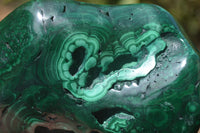 Polished Flower Banded Malachite Free Forms x 3 From Congo