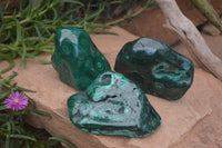 Polished Flower Banded Malachite Free Forms x 3 From Congo