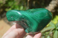 Polished Flower Banded Malachite Free Forms x 3 From Congo