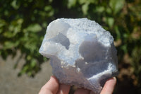 Natural Etched Blue Chalcedony Specimens x 2 From Nsanje, Malawi