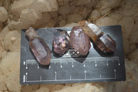 Natural Smokey Window Amethyst Crystals x 70 From Chiredzi, Zimbabwe