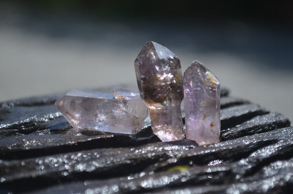 Natural Smokey Window Amethyst Crystals x 70 From Chiredzi, Zimbabwe