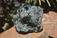 Natural Libethenite Crystals On Dolomite Matrix Specimens x 3 From Shituru, Congo