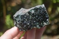 Natural Libethenite Crystals On Dolomite Matrix Specimens x 3 From Shituru, Congo