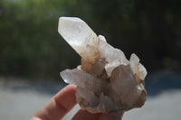 Natural Small Quartz Clusters x 13 from Madagascar