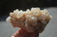 Natural Small Quartz Clusters x 13 from Madagascar