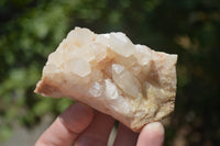 Natural Small Quartz Clusters x 13 from Madagascar