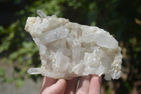 Natural Small Quartz Clusters x 13 from Madagascar