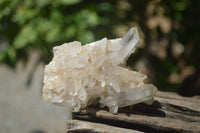 Natural Small Quartz Clusters x 13 from Madagascar