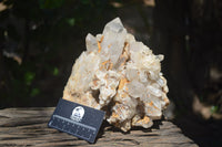 Natural Quartz Cluster x 1 From Madagascar