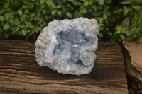 Natural Celestite Geode Specimens x 1 From Sakoany, Madagascar