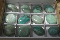 Polished Amazonite Galet-Palm Stones x 12 from Madagascar