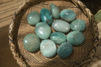 Polished Amazonite Galet-Palm Stones x 12 from Madagascar