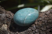 Polished Amazonite Galet-Palm Stones x 12 from Madagascar