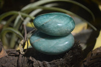 Polished Amazonite Galet-Palm Stones x 12 from Madagascar