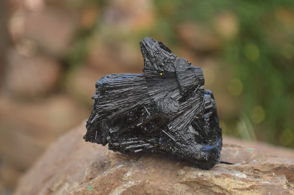 Natural Schorl Black Tourmaline Specimens x 12 From Erongo, Namibia