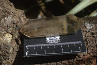 Polished Smokey Quartz Crystal Poiny-Prisms x 6 From Madagascar